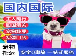 阿尔山机场空运国际宠物托运 【国